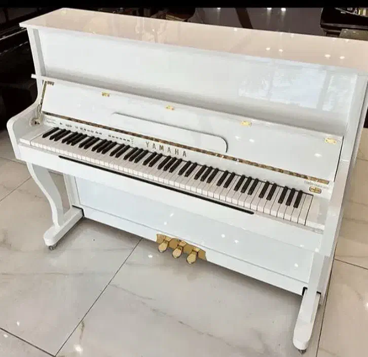 پیانو سنتـر/+|پیانو، کیبورد، آکاردئون|شیراز, بازار|دیوار