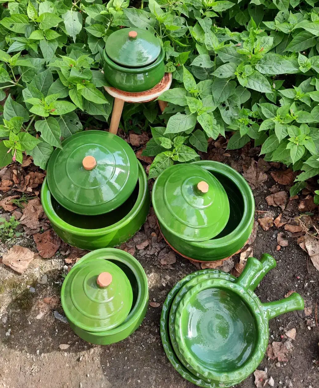 7تیکه گمج خورشتی شمالی|ظروف پختوپز|رشت, هلال احمر|دیوار