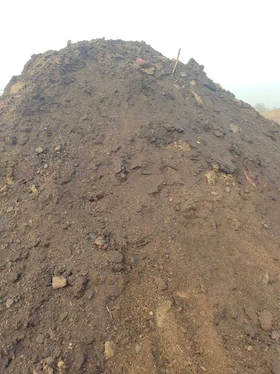 کود حیوانی گوسفندی درجه یک|خدمات باغبانی و درختکاری|قزوین, |دیوار