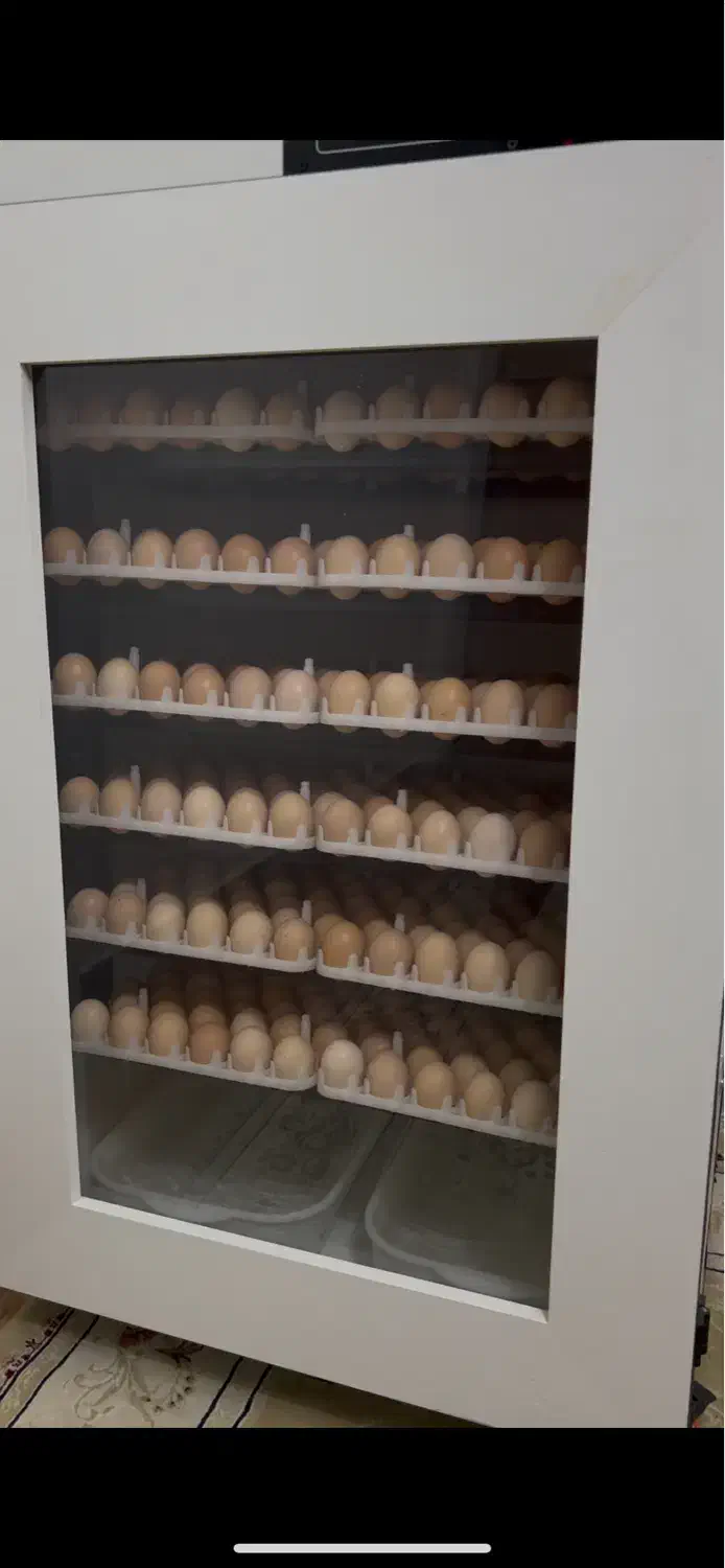 دستگاه جوجه کشی ۵۰۴تایی|ماشینآلات صنعتی|رشت, توشیبا|دیوار