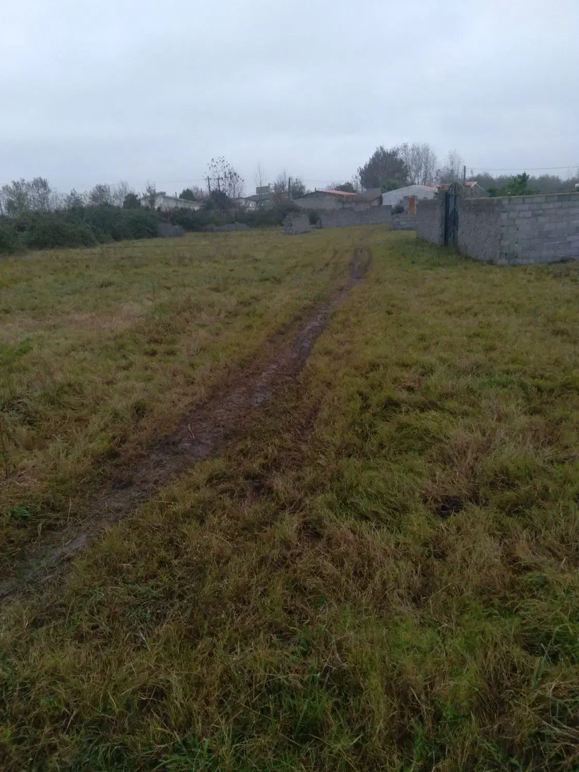 زمین خوش نقش ۳۵۰ متر دو بر زمین|فروش زمین و ملک کلنگی|لشت نشا, |دیوار