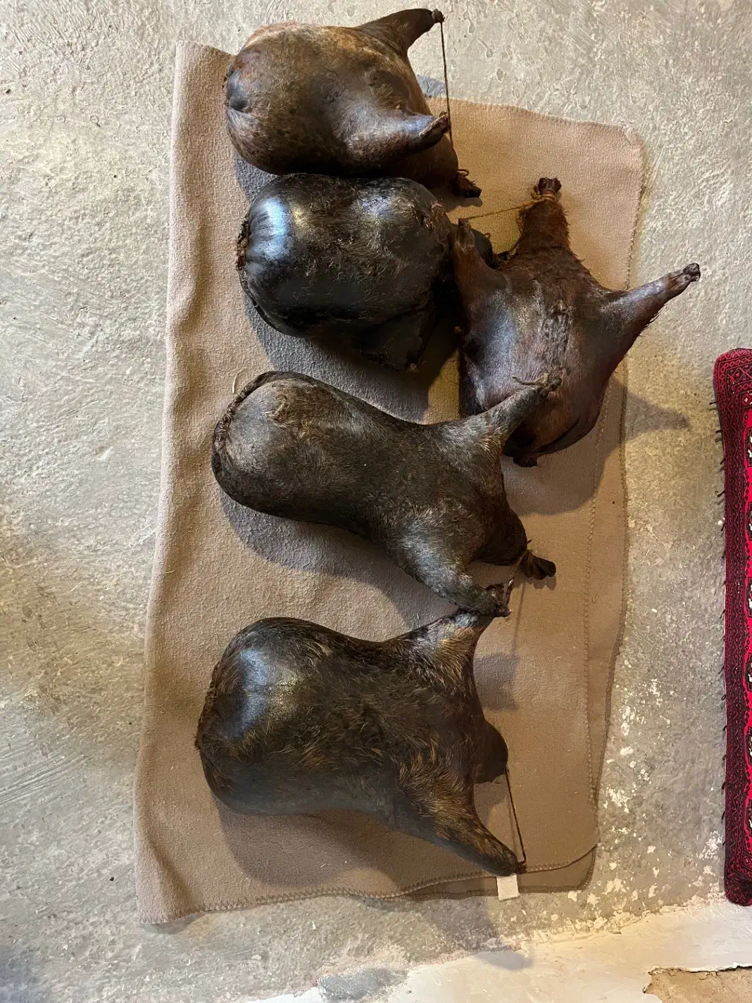 هیزه|صنایع دستی و سایر لوازم تزئینی|کوهدشت, |دیوار