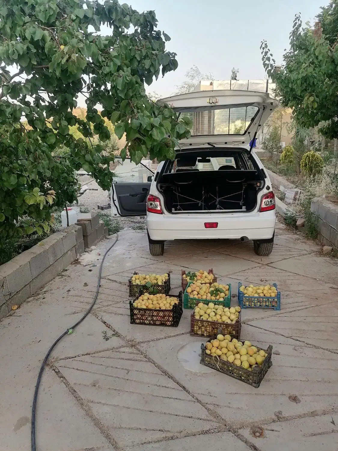 باغ شهری دهشیخ|فروش خانه و ویلا|شیراز, مجتمع شهید پرویزی|دیوار