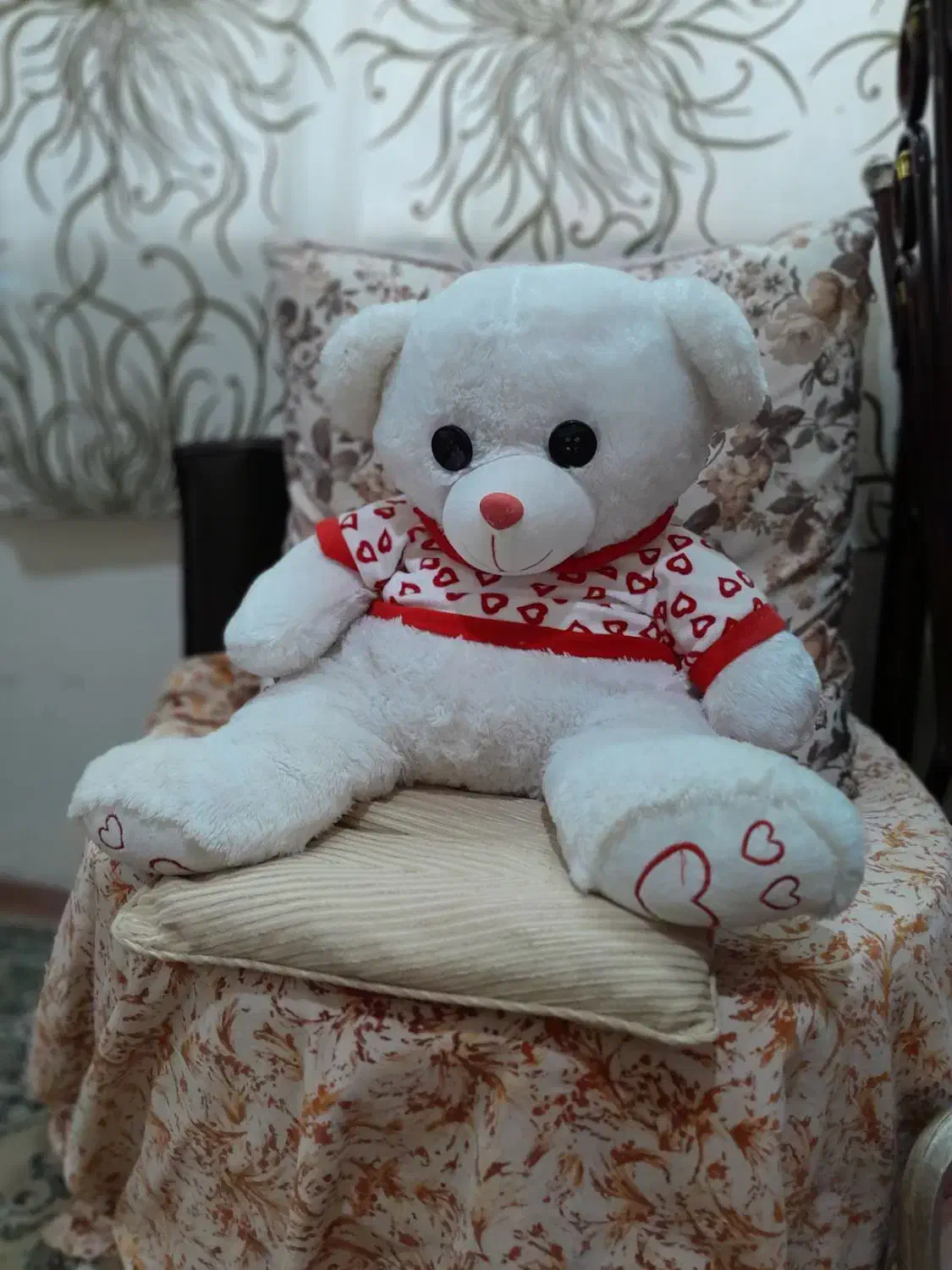 خرس عروسکی|اسباب‌بازی بچه|رشت, نظری|دیوار