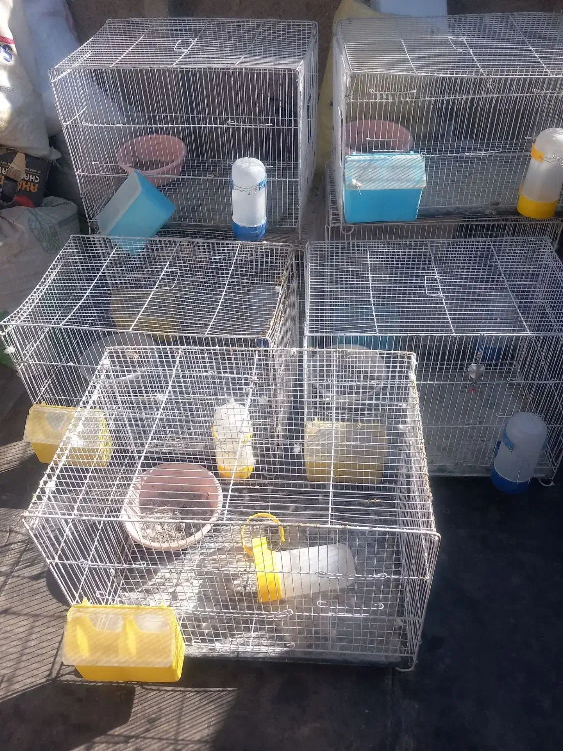 جفتگاه وقفس|لوازم جانبی حیوانات|مشهد, انصار|دیوار