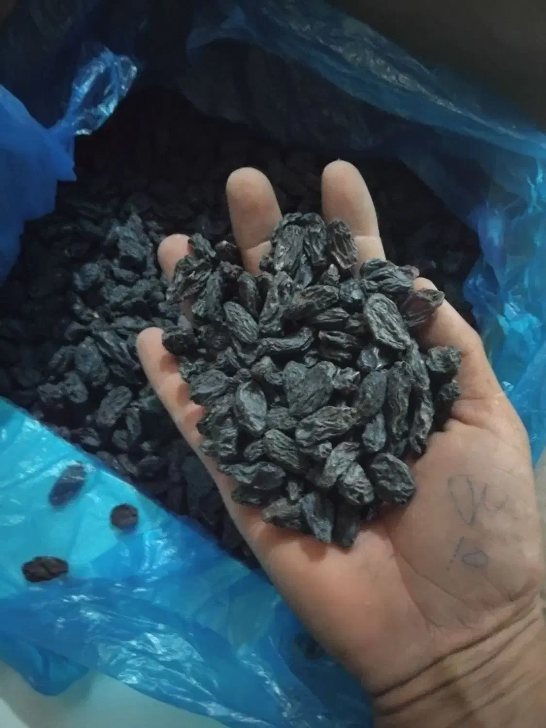 مویز درجه یک|خوردنی و آشامیدنی|قرچک, پارک جنگلی|دیوار