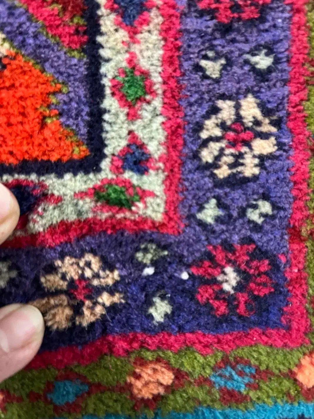 فرش دستبافت زنجان قدیم|فرش|زنجان, |دیوار