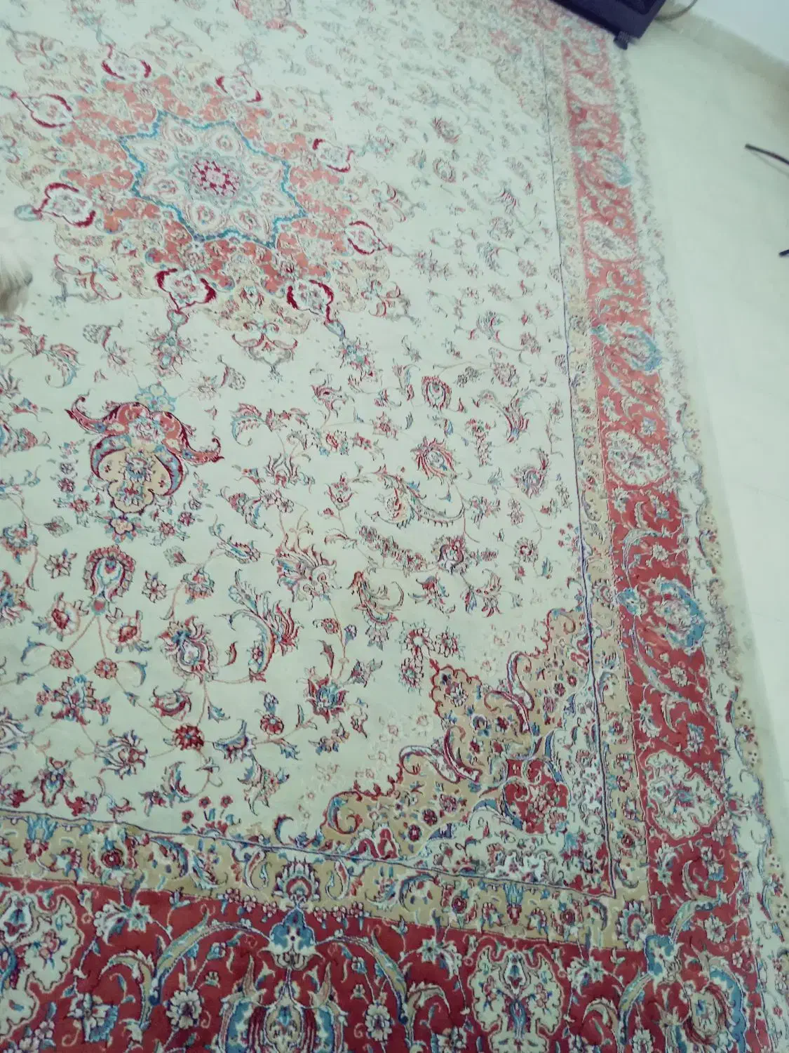 فرش ۱۲ متری|فرش|گرگان, |دیوار