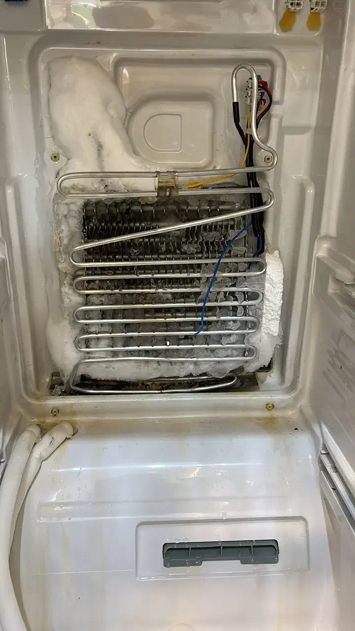 تعمیرات لوازم خانگی شهرام رعدی لباسشویی ، یخچال|خدمات پیشه و مهارت|شیراز, لب آب|دیوار