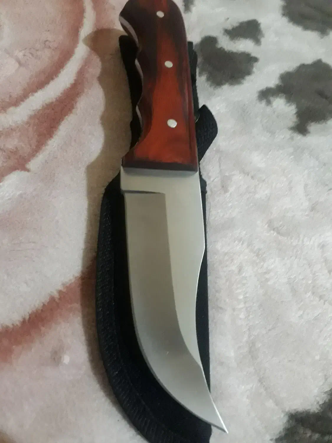 دو عدد کارد شکاری آمریکایی|کوهنوردی و کمپینگ|اهواز, طالقانی|دیوار