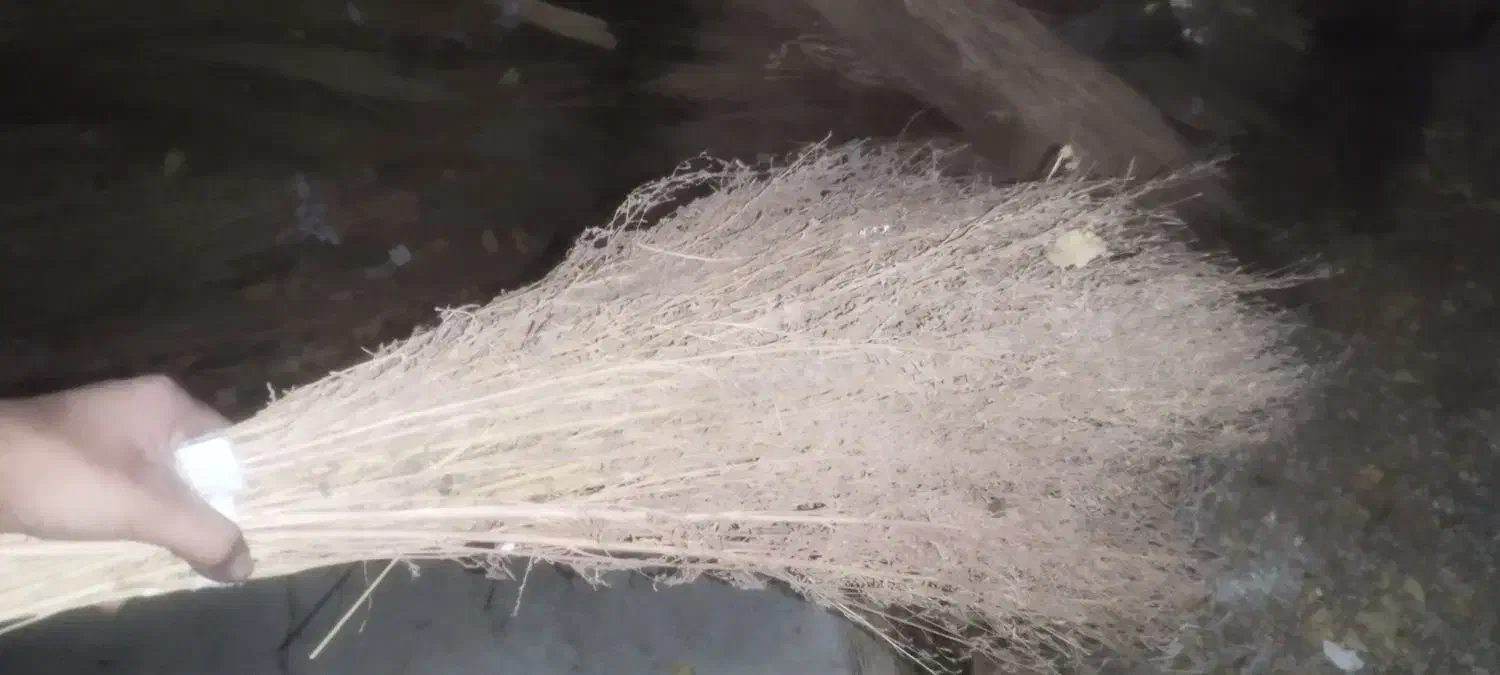 جارو پیشی|لوازم نظافت|زاغه, |دیوار