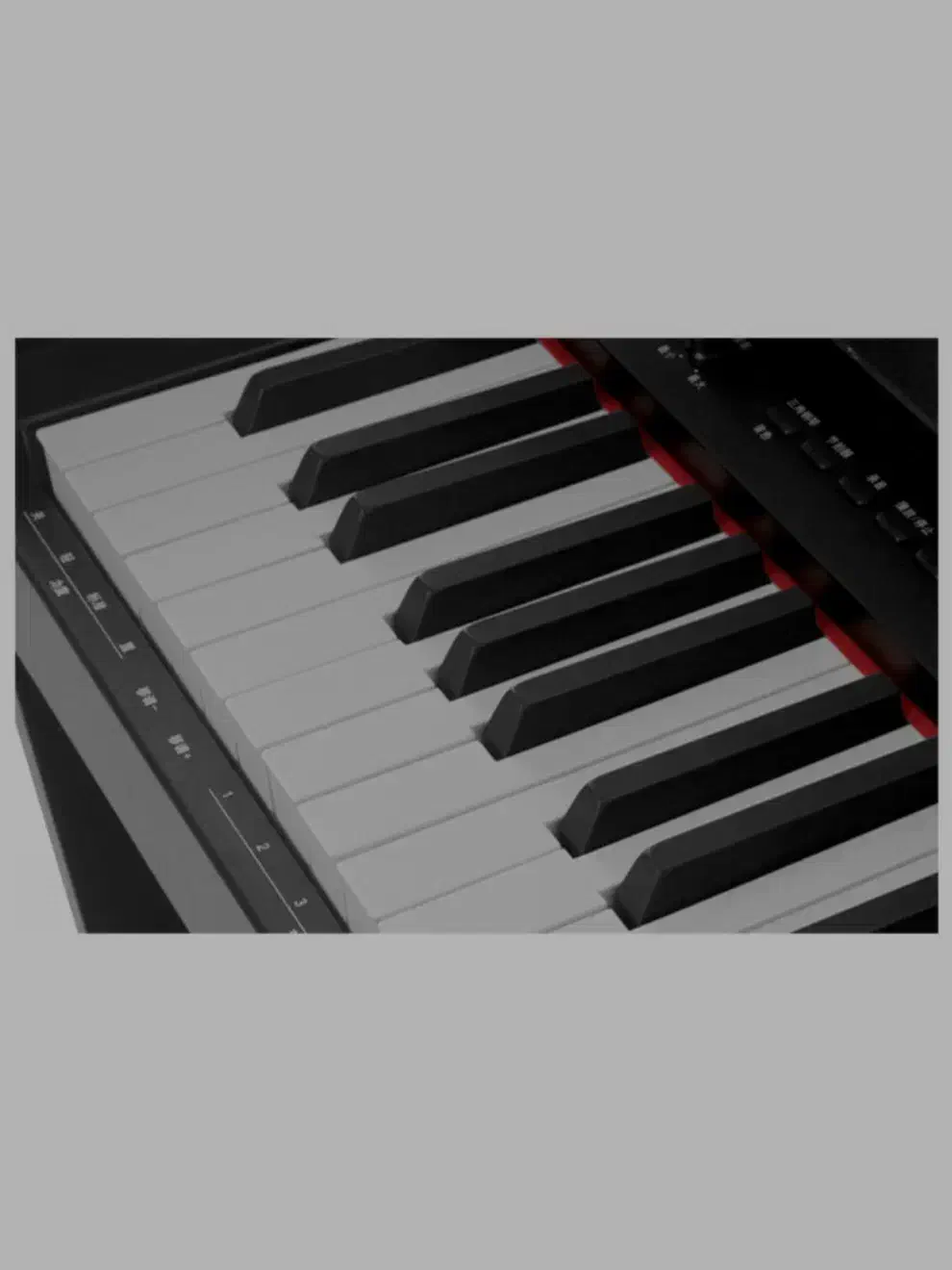 NUX WK-310|پیانو، کیبورد، آکاردئون|قزوین, |دیوار