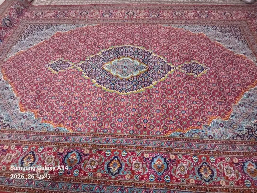 فرش ۹ متری|فرش|تربت‌حیدریه, حسنی بالا|دیوار