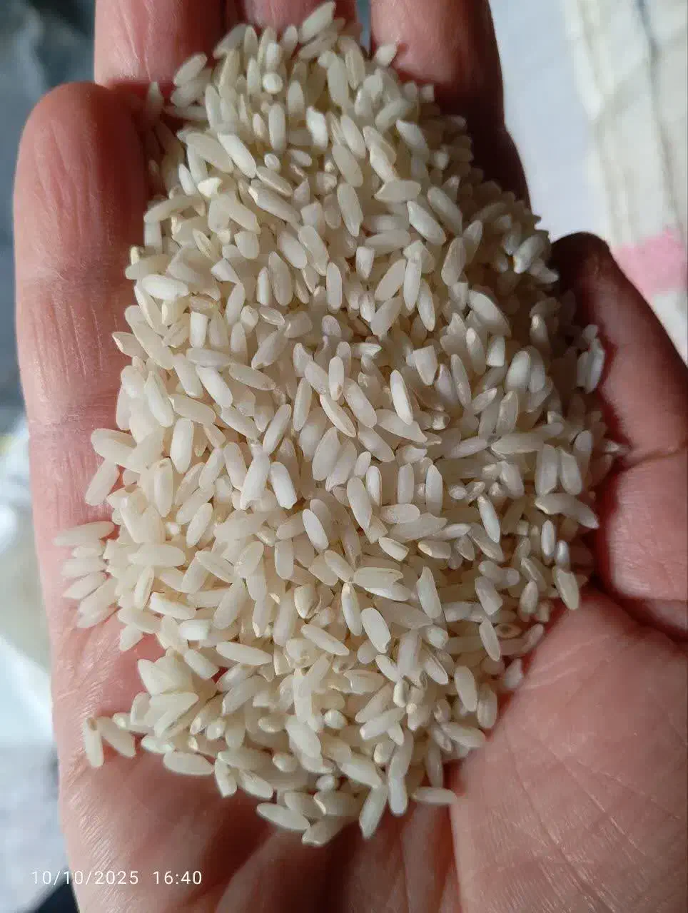 برنج صحنه|خوردنی و آشامیدنی|صحنه, |دیوار