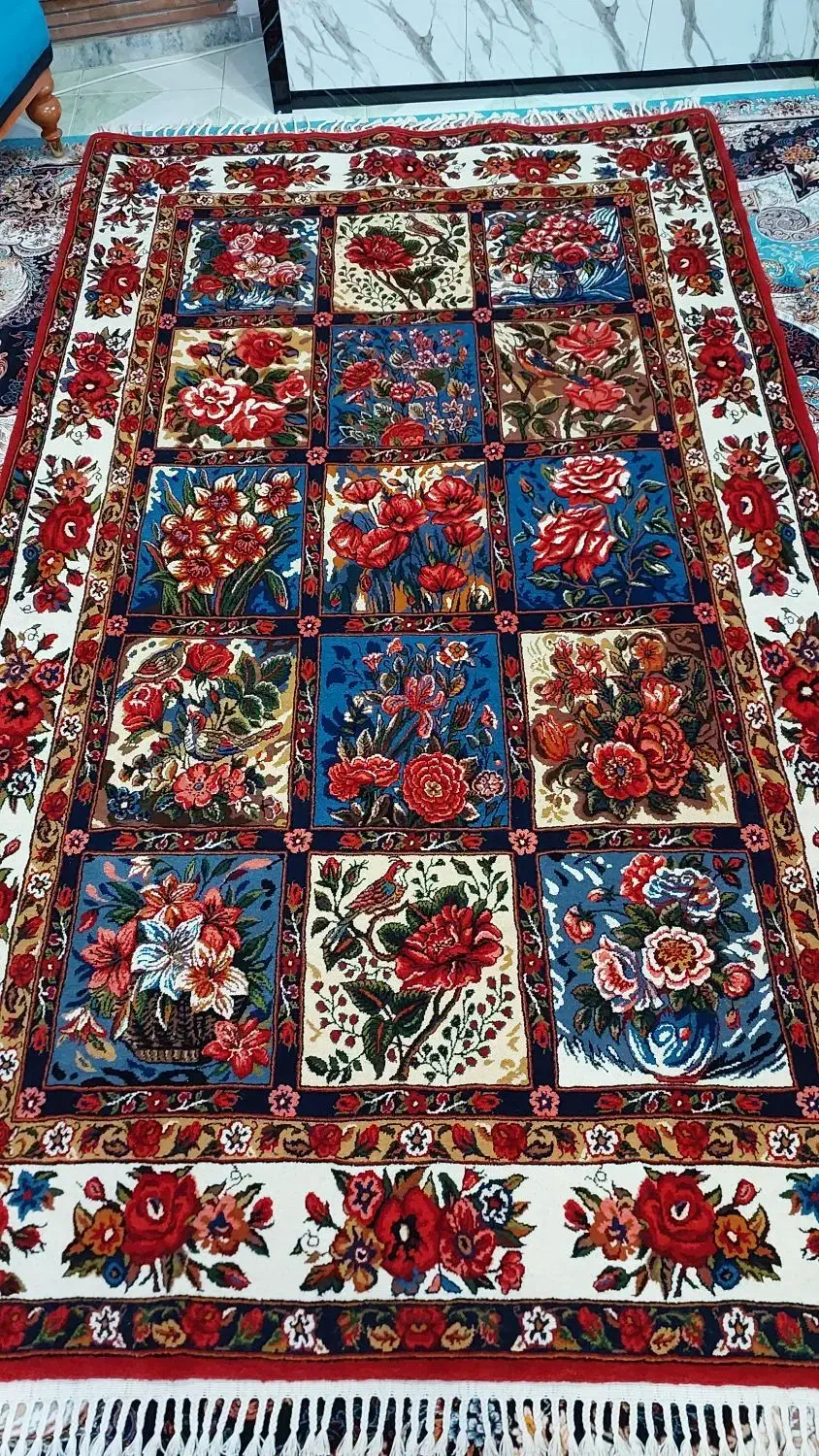 قالی دست بافت شیدایی|فرش|نوشهر, |دیوار