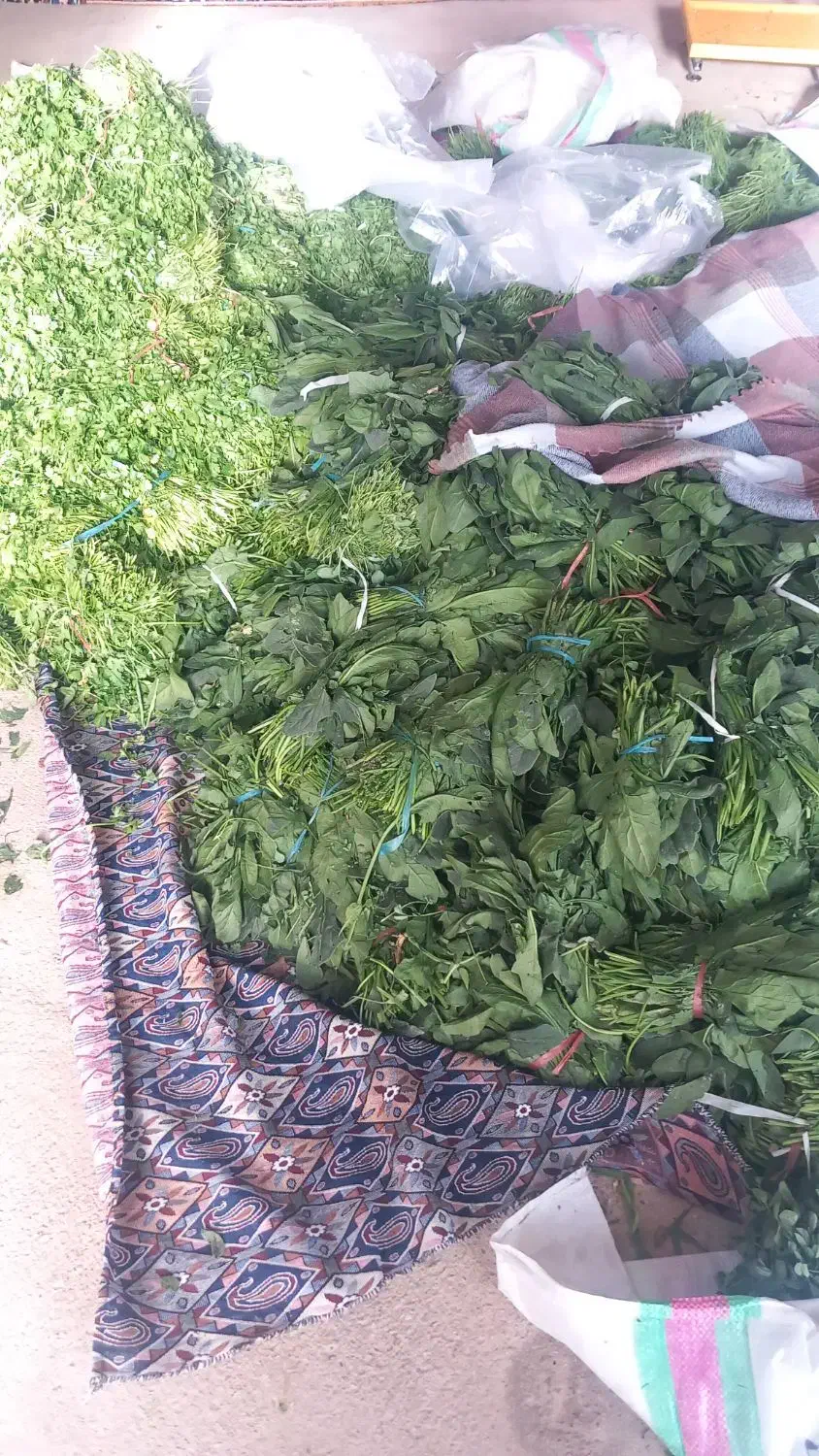 سبزی خورشتی خوزستان|خوردنی و آشامیدنی|گندمان, |دیوار