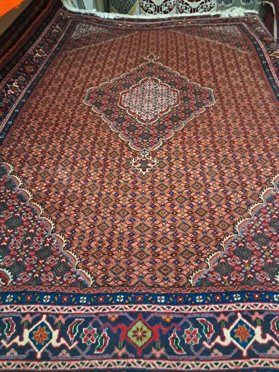 فرش|فرش|پارسآباد, |دیوار