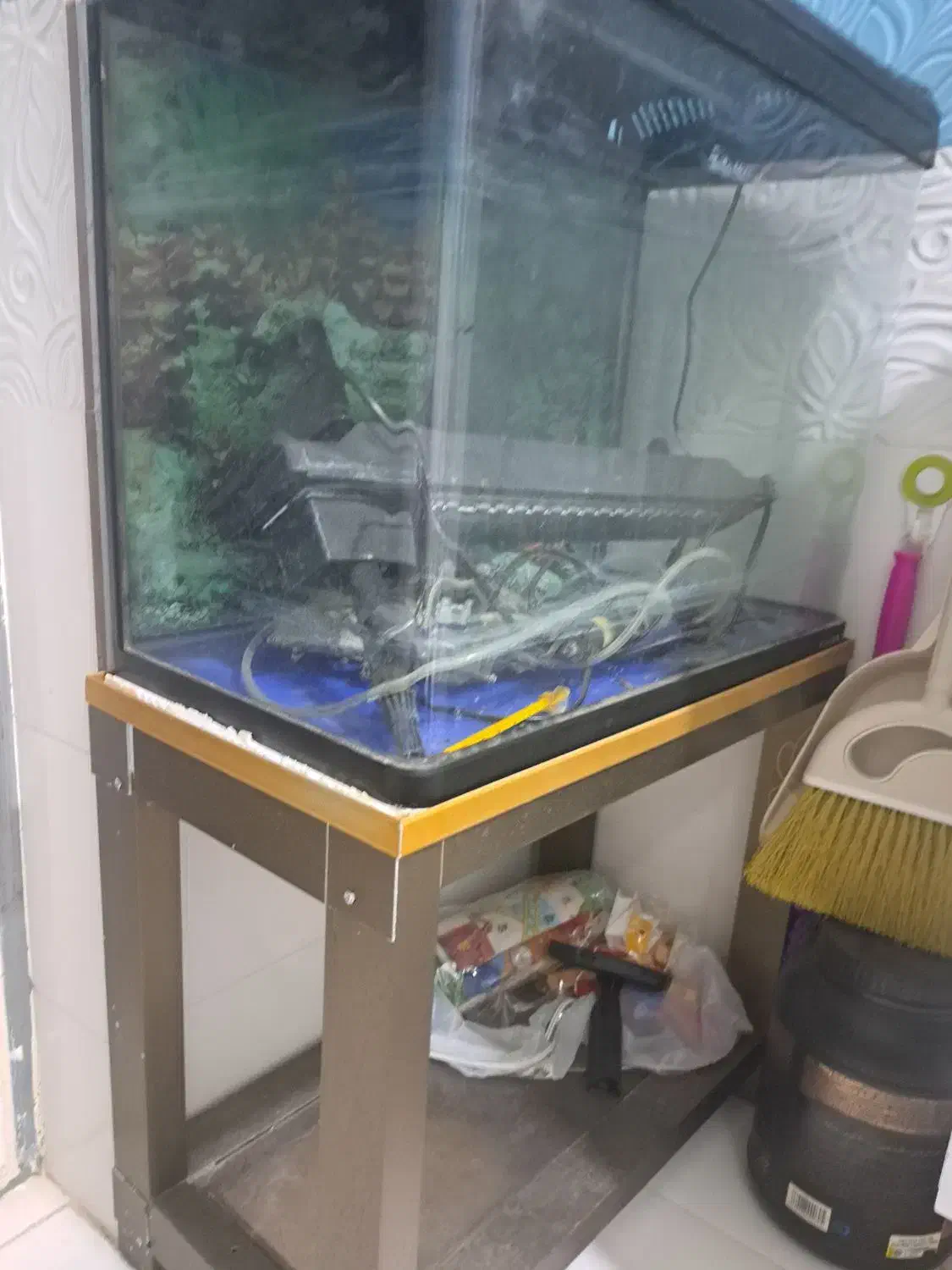 فروش یک عدد آکواریوم|ماهی|میناب, |دیوار