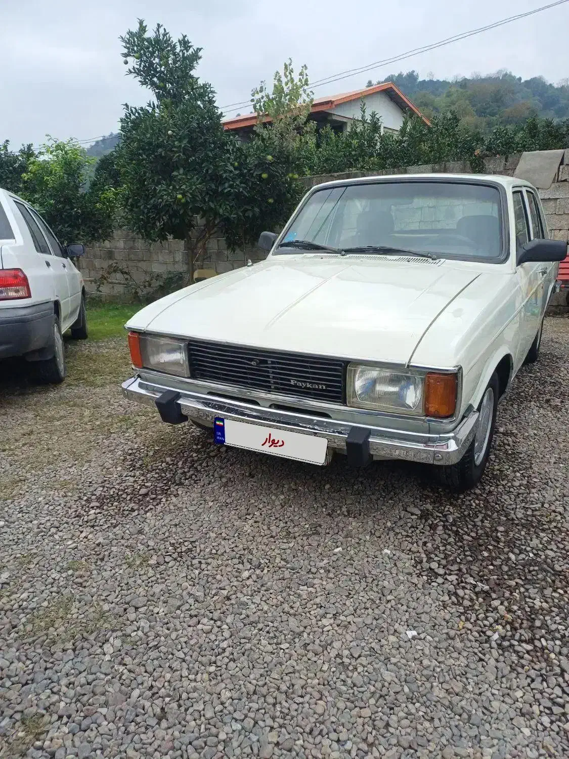 پیکان 81 انژکتور بی رنگ|خودرو سواری و وانت|رانکوه, |دیوار