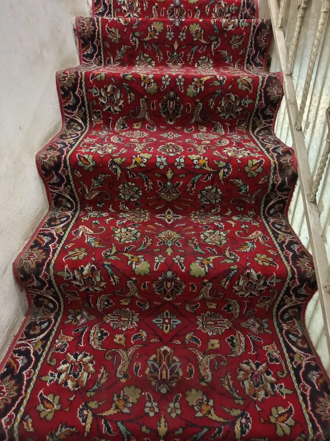 فرش وپادری|فرش|گرگان, |دیوار