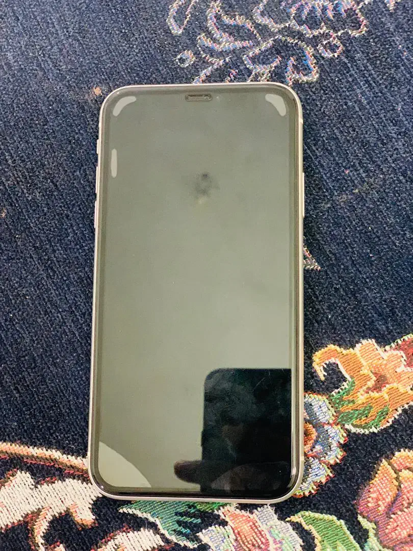 آیفون ۱۱ نرمال|موبایل|بندرعباس, |دیوار