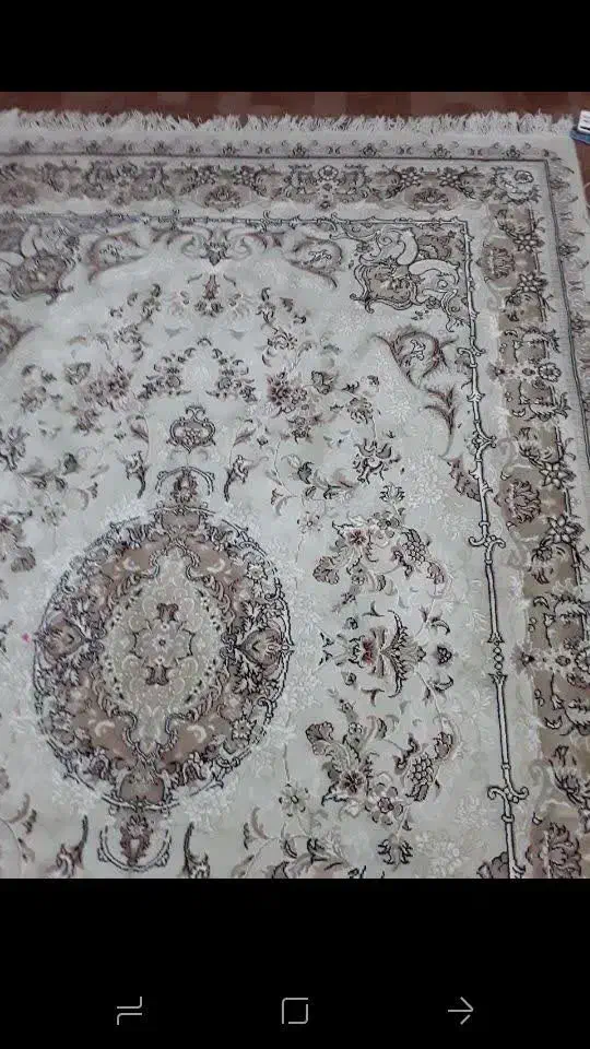 فرش ۶ متری|فرش|رودهن, |دیوار