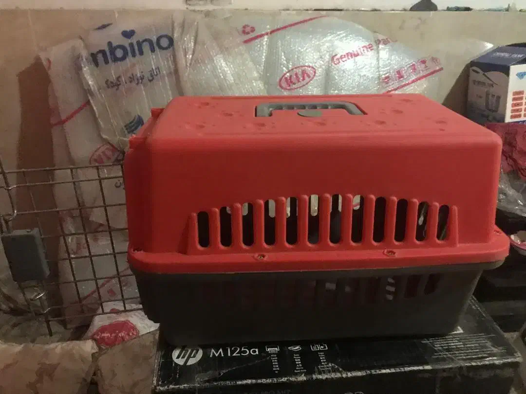 باکس ولباس واسباب بازی سگ آپارتمان|لوازم جانبی حیوانات|ورامین, ورامین|دیوار