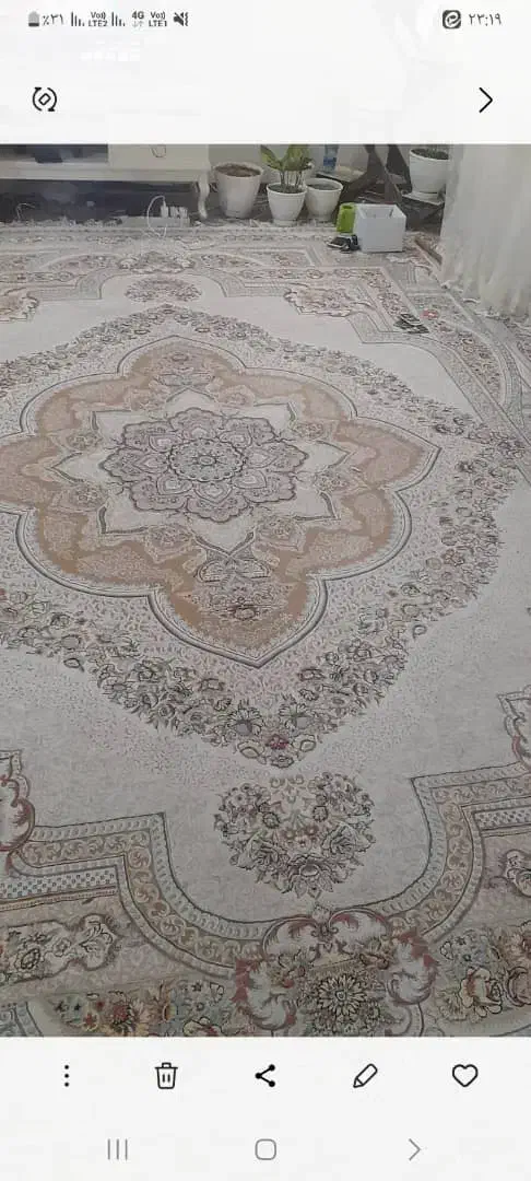 قالی تمیزودرحدنو|فرش|مشهد, گلشور|دیوار