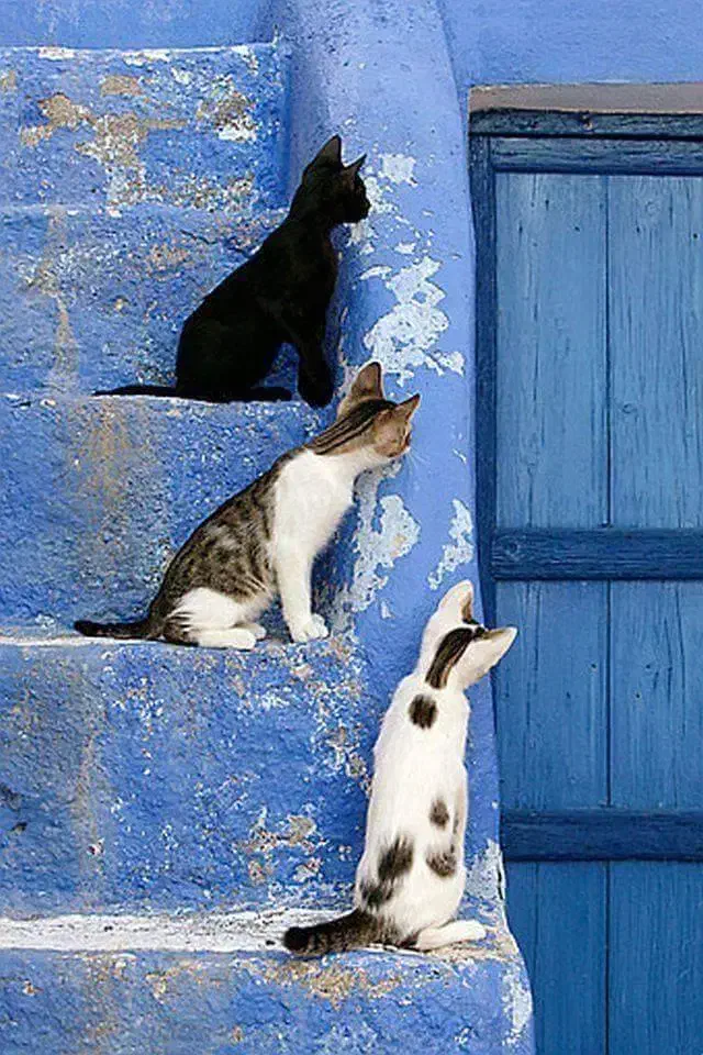 سلام|فعالیت داوطلبانه|نیشابور, هفده شهریور|دیوار