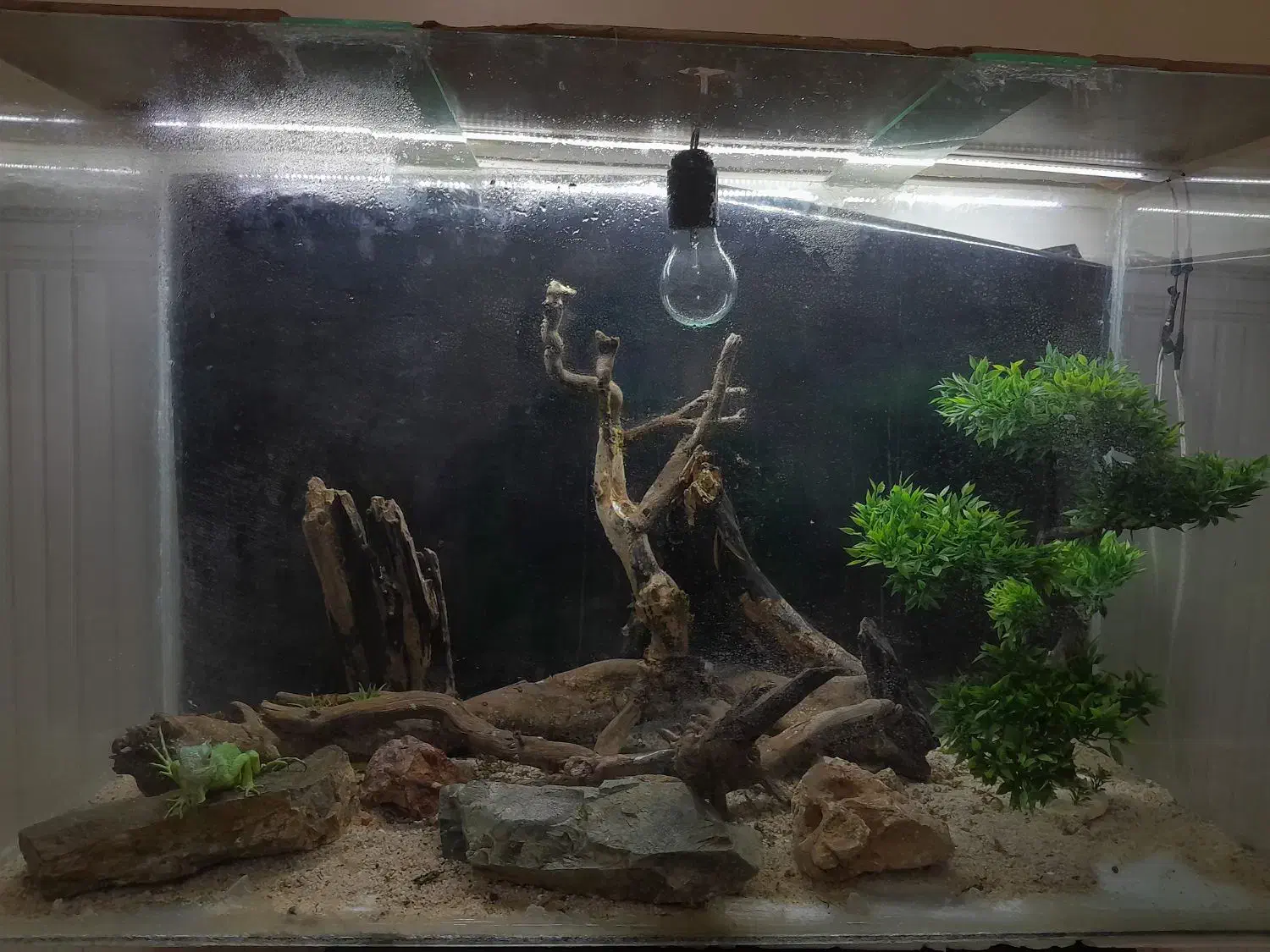 آکواریوم|ماهی|چهاردانگه (تهران), |دیوار