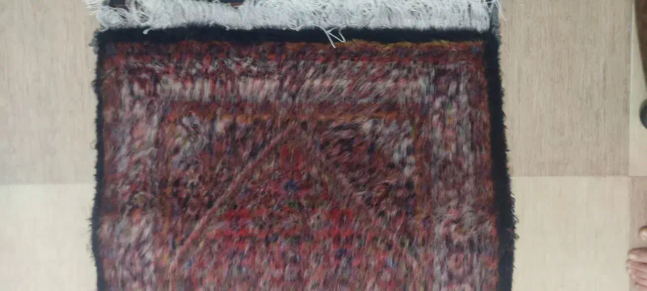 فرش زر چرک پشم در شهرستان زنجان|فرش|تهران, مختاری|دیوار