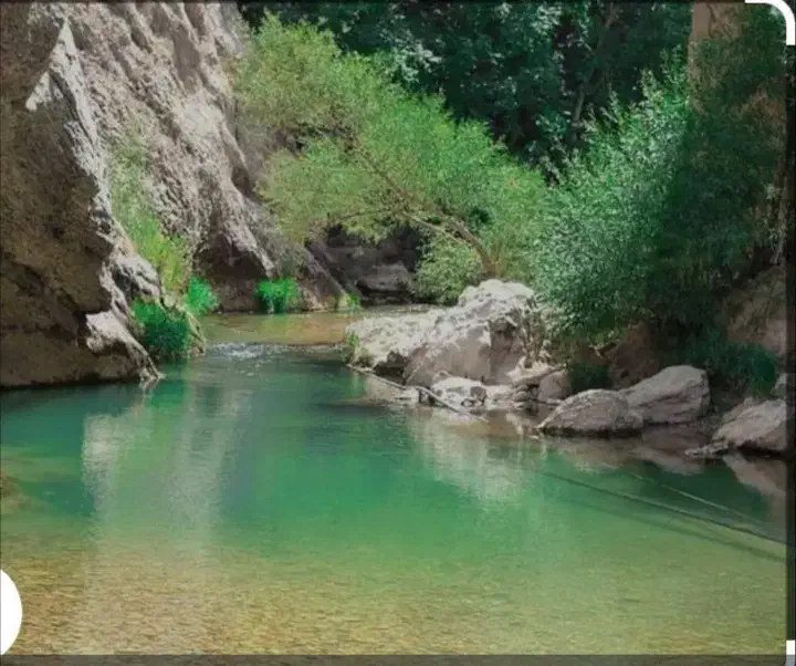 سفر یک روزه تنگ اردشیری|تور و چارتر|شیراز, شهرک مدرس|دیوار
