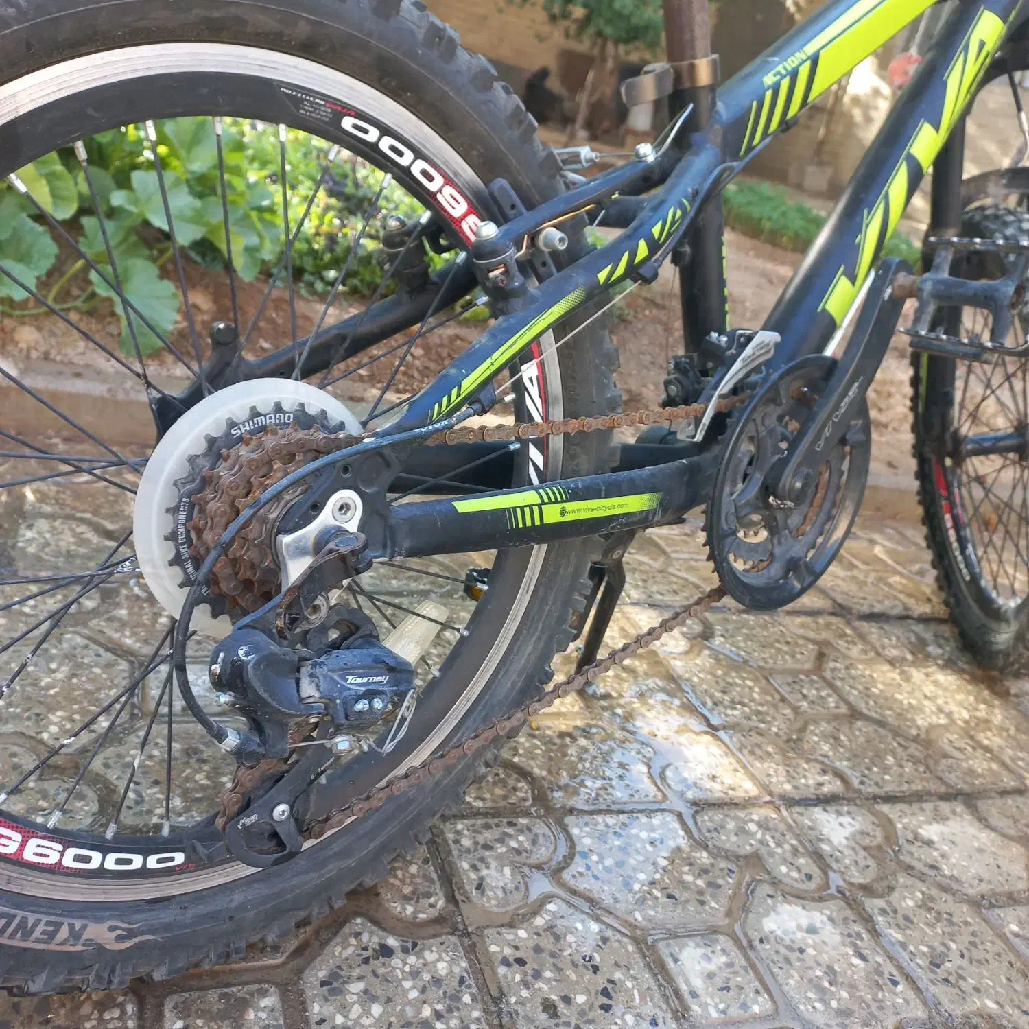 دوچرخه ویوا اصل سایز ۲۰|دوچرخه، اسکیت، اسکوتر|شهرکرد, |دیوار