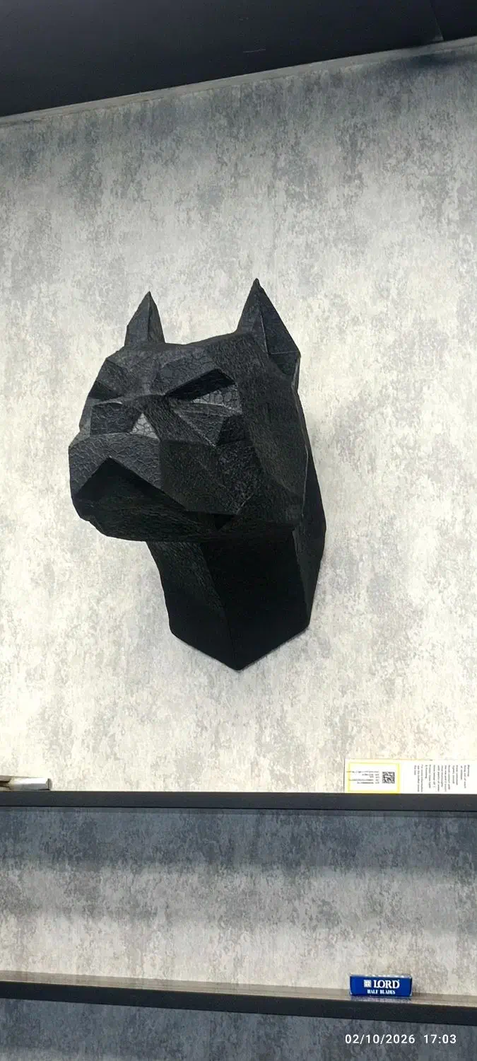 مجسمه تزئینی|مجسمه، تندیس، ماکت|سنندج, |دیوار