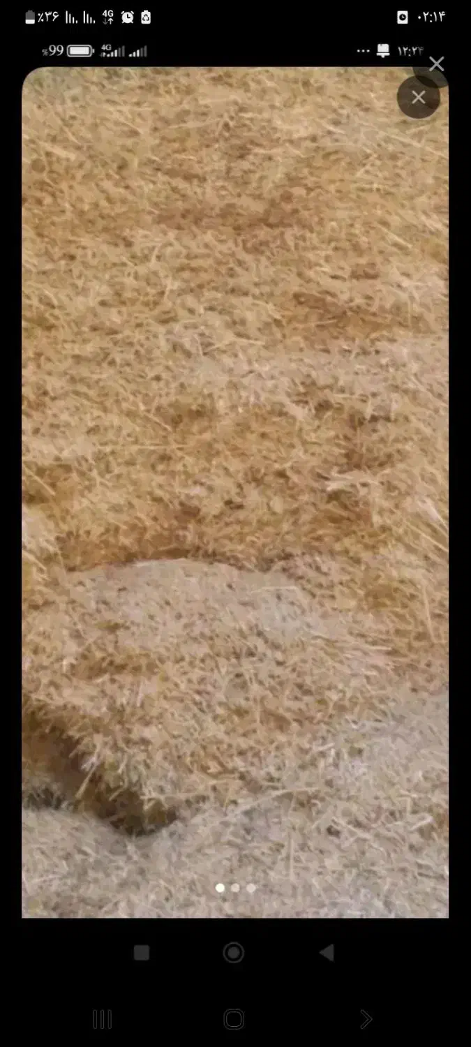 کاه سفید|لوازم جانبی حیوانات|سیلاخور, |دیوار