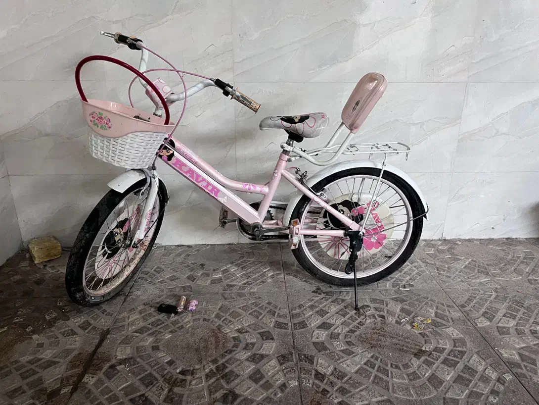 دوچرخه دخترانه سایز ۲۰ به همراه یه جفت کمکی|دوچرخه، اسکیت، اسکوتر|میانه, |دیوار