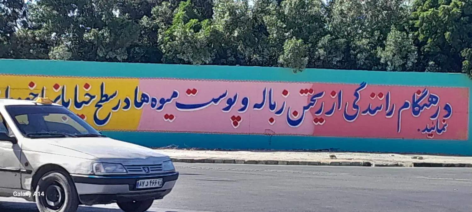 دیوار نویسی با کادری مجرب|خدمات پیشه و مهارت|چابهار, |دیوار