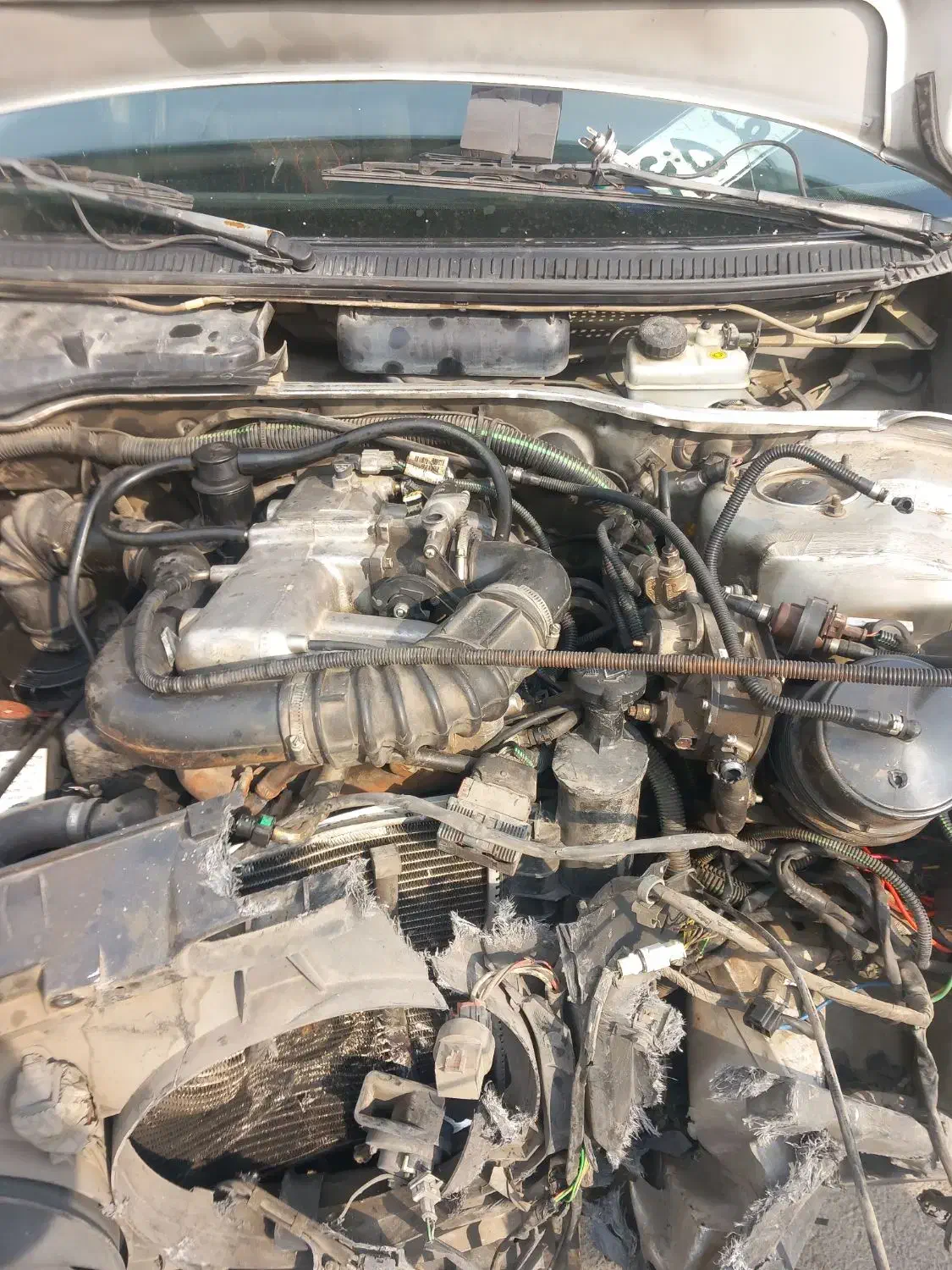 ماشین پژوروآسال دوگانه کارخانه|خودرو سواری و وانت|تهران, هروی|دیوار