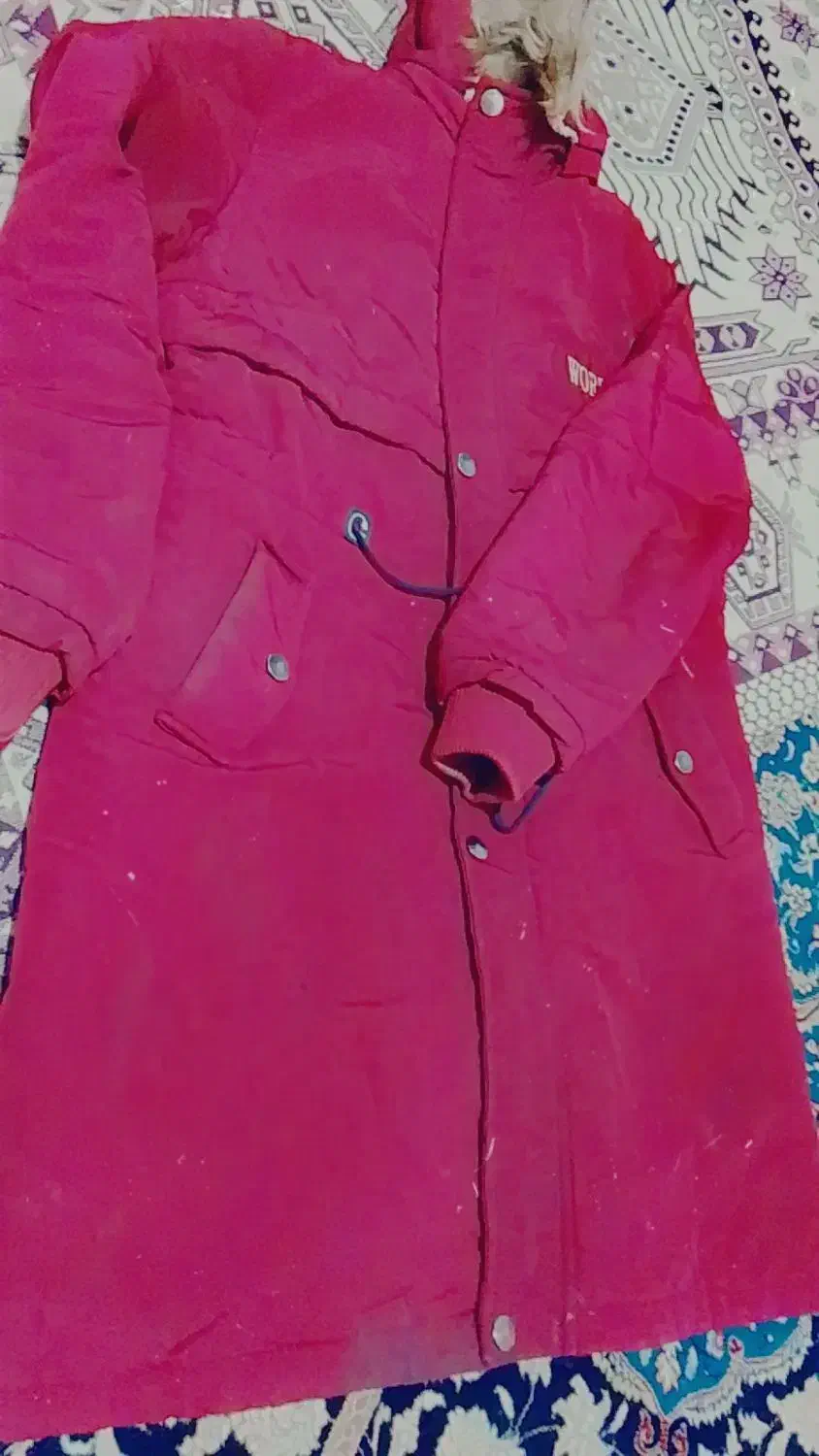 کاپشن ،پالتو،بارونی|لباس|بیرجند, |دیوار