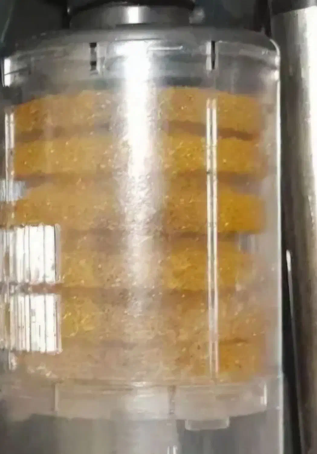 تصفیه اب،اکسیژن. مهتابی وسبزه|ماهی|مشهد, ایثارگران|دیوار