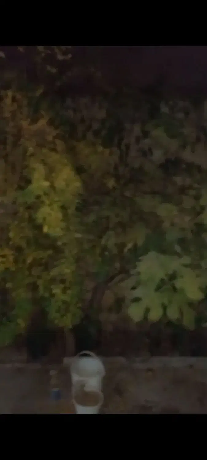 خانه قدیمی کوچه دره گرمی ها حسن علی نیا|فروش خانه و ویلا|خرمآباد, |دیوار