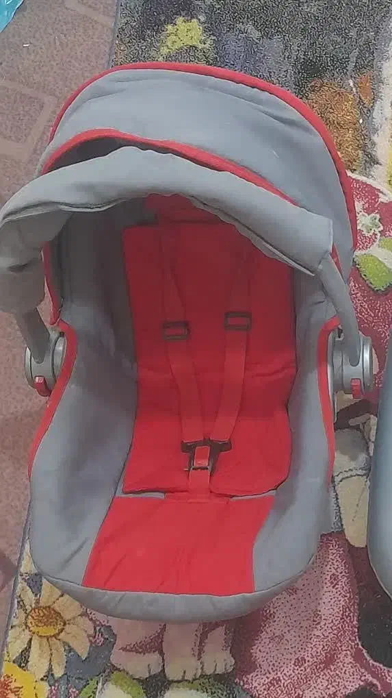 کریر|کالسکه و لوازم جانبی|دلیجان, |دیوار