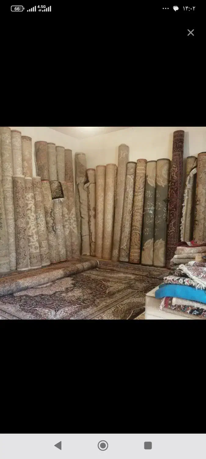 فرش ضخیم کارکرده وحید|فرش|نیشابور, فرح بخش|دیوار