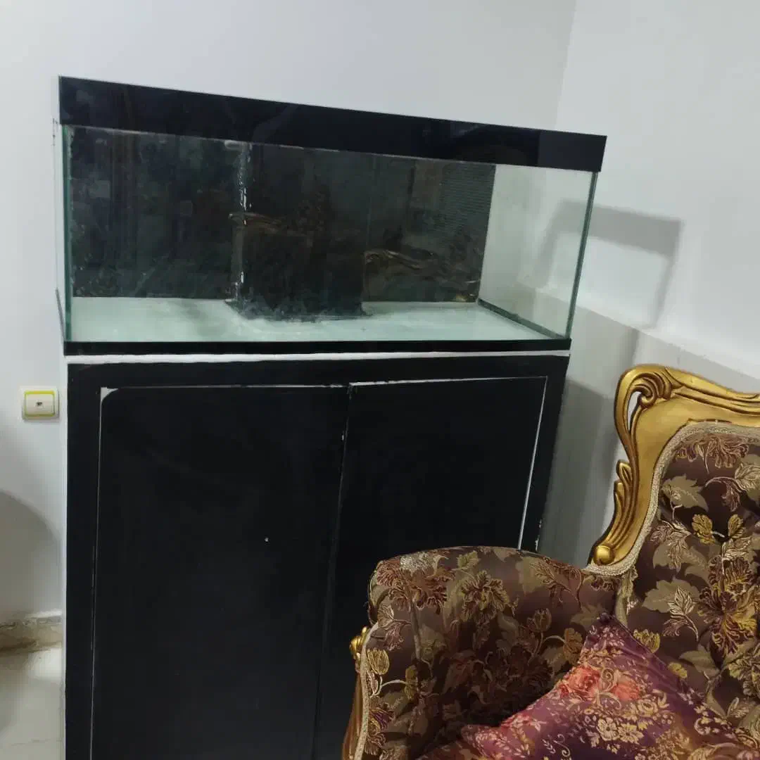 اکواریوم آبشور کامل با سامپ و کمد|ماهی|بندرعباس, |دیوار