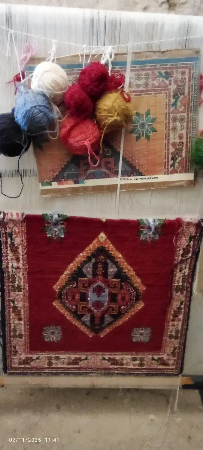 دارقالی باقالی ۵۰ درصدبافته شده|فرش|جهرم, |دیوار