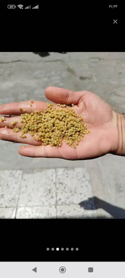 فروش کود|خدمات باغبانی و درختکاری|اهواز, زرگان|دیوار