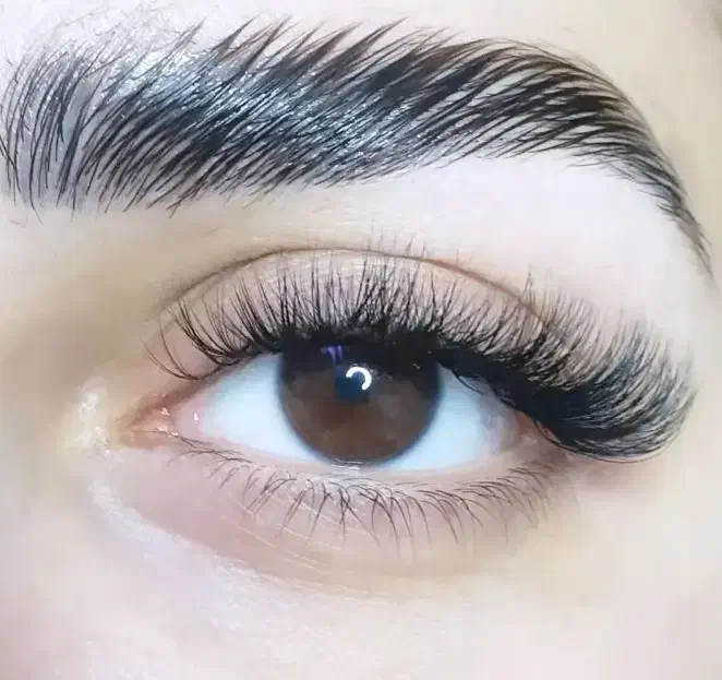 لیفت واکستنشن مژه با6سال سابقه کارتخفیفات شروع شد|خدمات آرایشگری و زیبایی|کاشان, زیدی|دیوار