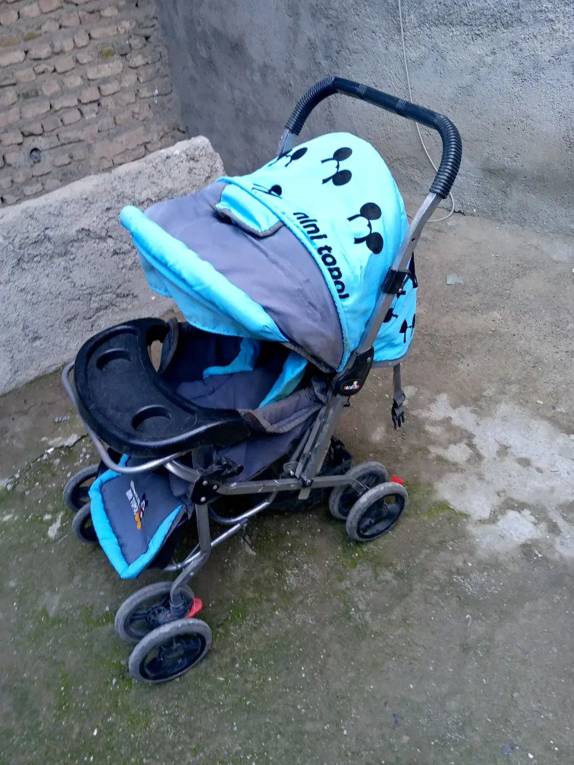 کالسکه|کالسکه و لوازم جانبی|نیشابور, خط کاشمر|دیوار