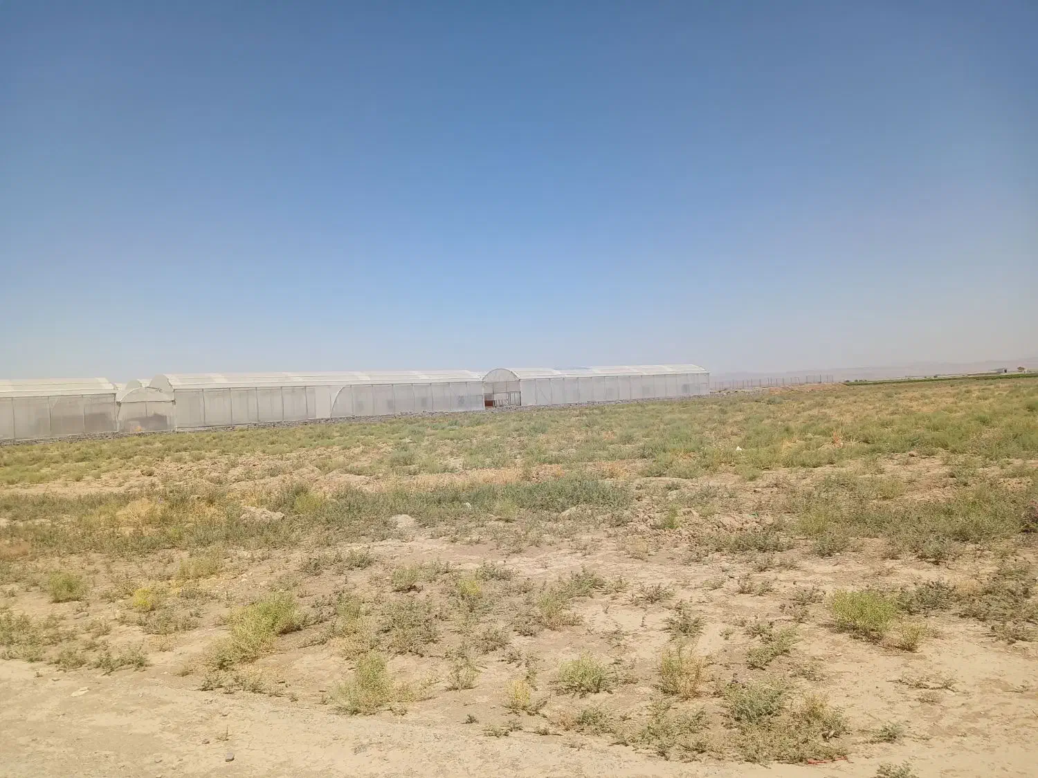 زمین گلخانه ای اماده احداث در شهرستان جعفریه|فروش دفتر صنعتی، کشاورزی، تجاری|قم, دانش|دیوار