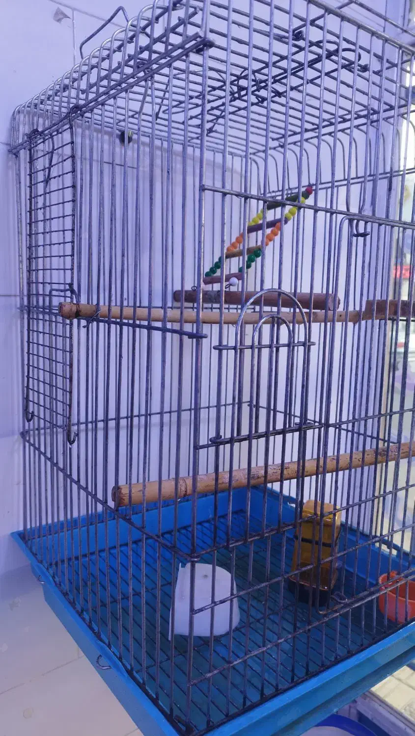 قفس 1033اصلی|لوازم جانبی حیوانات|جوانرود, |دیوار